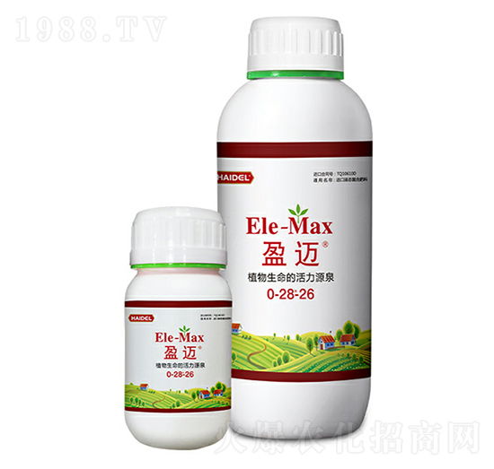 ӯ�~-����������