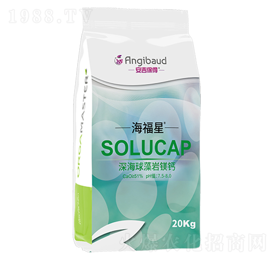 �����r�V�}-������-����������