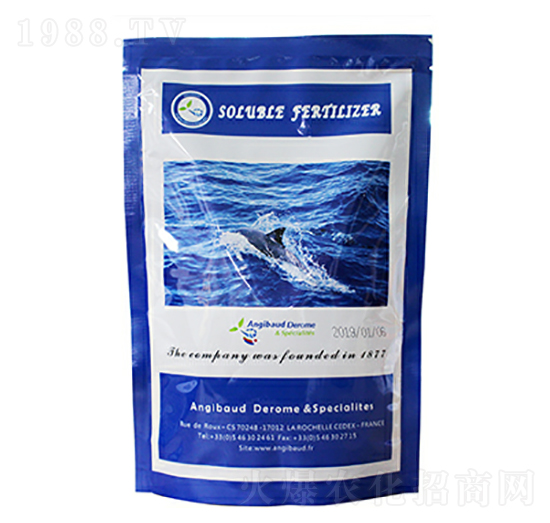 �ƌ���-����������