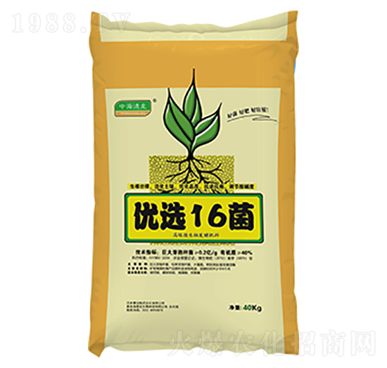 ΢�������-��(y��u)�x16��-����������