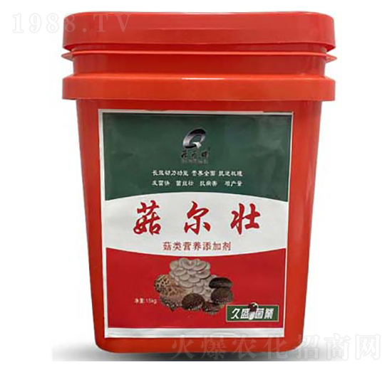 ��I�B(y��ng)���ӄ�-��ʢ��������-���_(d��)����