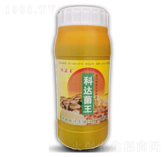 ������������-���_(d��)����