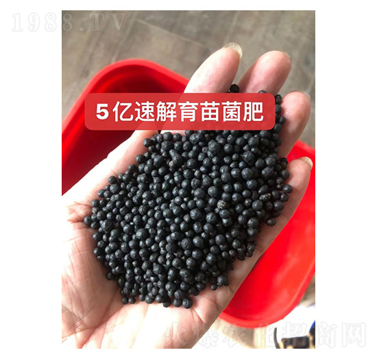 5�|�ٽ��������--���r(n��ng)