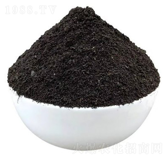 �l(f��)���u�S�ЙC(j��)��-�����ʘI(y��)