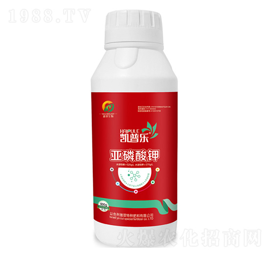 �������-�P�՘�(l��)-�Ŵ�����