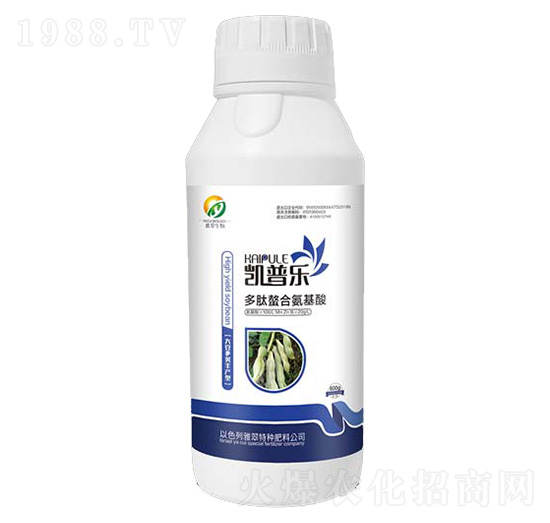 �󶹌�(zhu��n)�ö������ϰ�����-�P�՘�(l��)-�Ŵ�����