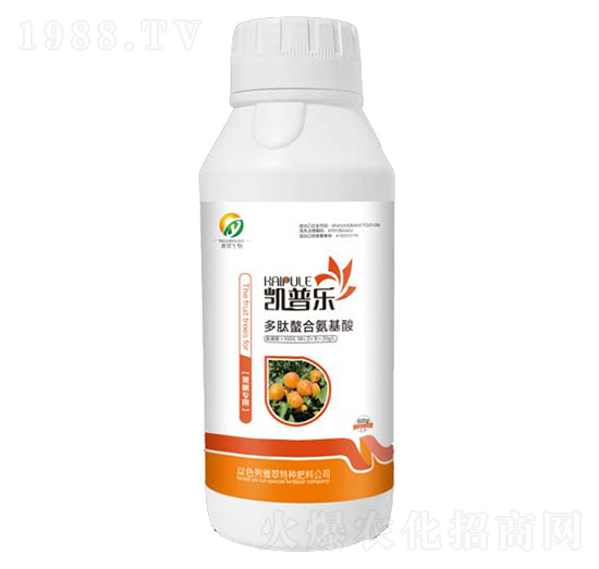 ���䌣�ö������ϰ�����-�P�՘�(l��)-�Ŵ�����