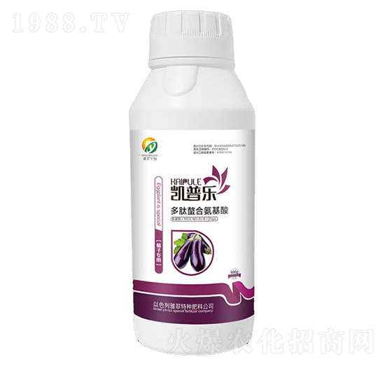 ���ӌ��ö������ϰ�����-�P�՘�-�Ŵ�����