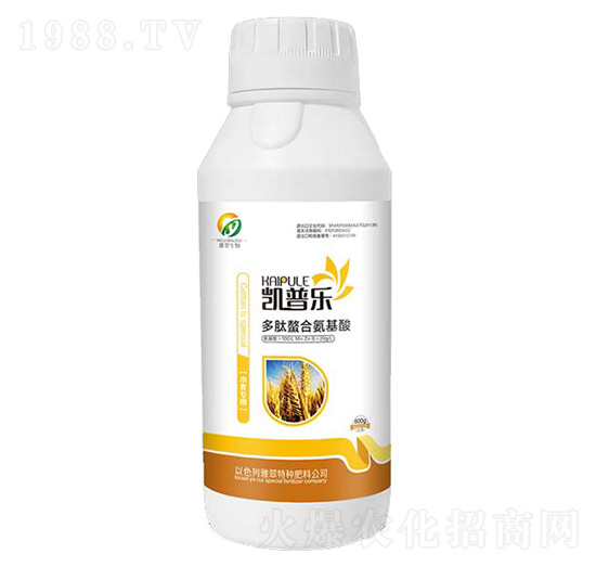 С�����ö������ϰ�����-�P�՘�(l��)-�Ŵ�����