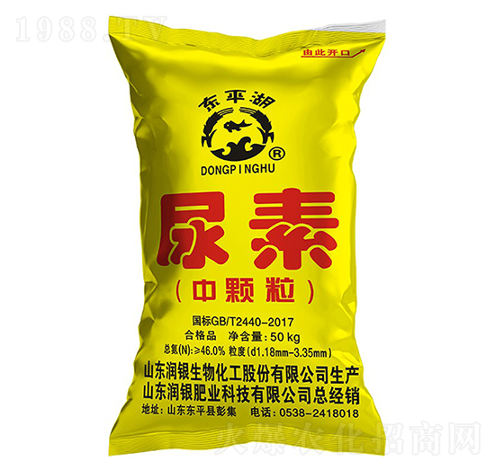 ���w������-�|ƽ��-��(r��n)�y����