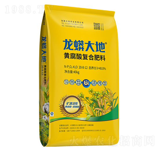 �S����ͺϷ���20-8-12-�����׻���