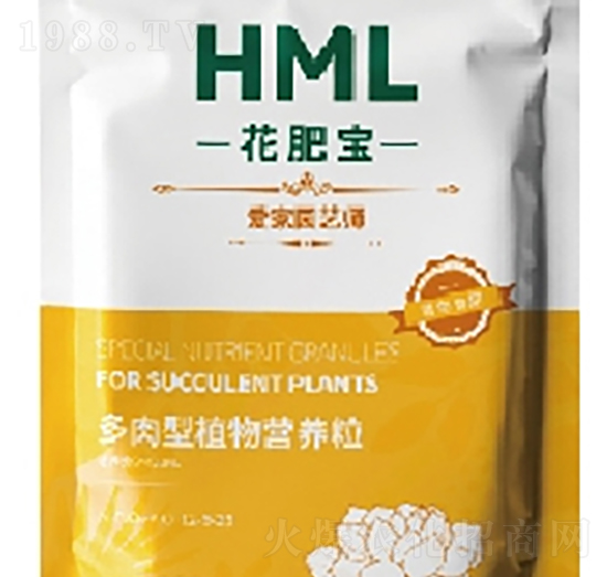 ������ֲ��I(y��ng)�B(y��ng)��-���ʌ�-�S���X