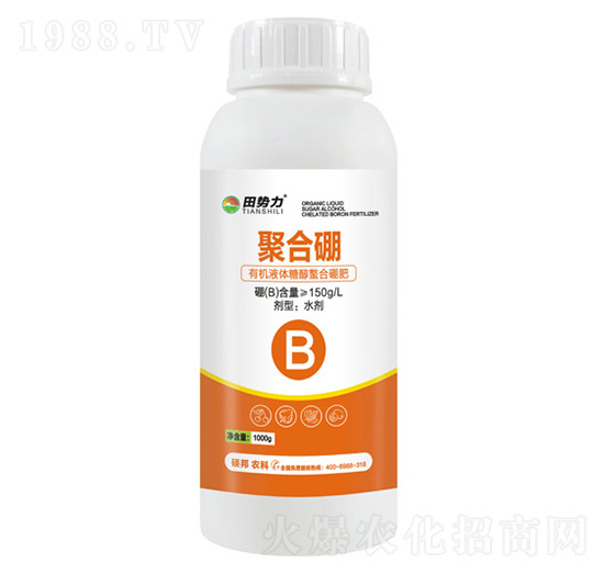 �ۺ���-�����-�T���r(n��ng)�I(y��)