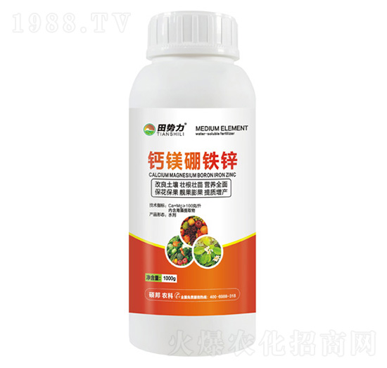 �}�V���F�\-�����-�T���r(n��ng)�I(y��)