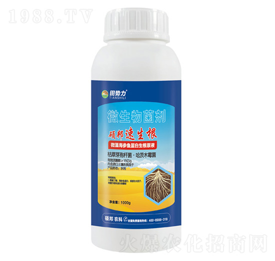 �T��������-΢�������-���(sh��)��-�T���r(n��ng)�I(y��)