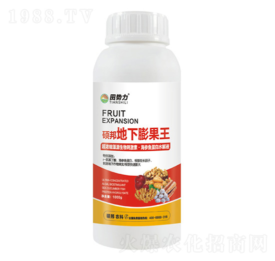 �T����������-���(sh��)��-�T���r(n��ng)�I(y��)