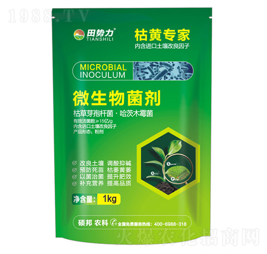 ���S����-΢�������-���(sh��)��-�T���r(n��ng)�I(y��)