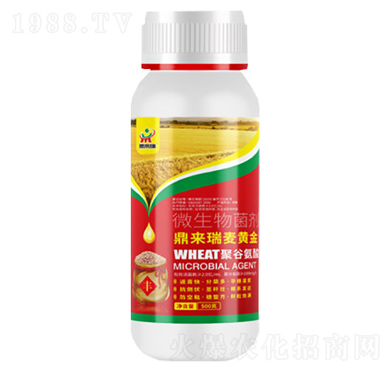 ���������S��΢�������-������