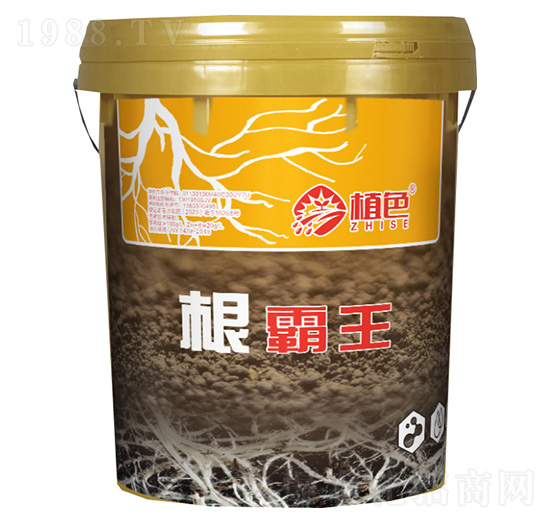 ������-ֲɫ����