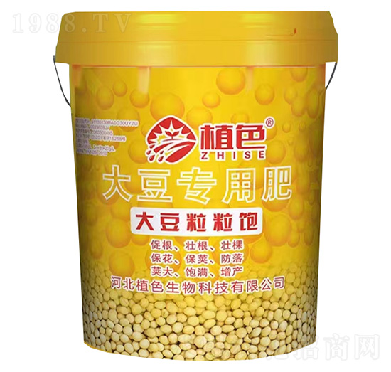 �󶹌��÷�-�������-ֲɫ����