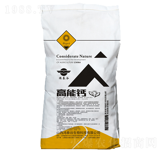 �����}-��̩��-��̩����