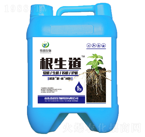 ������-��̩����