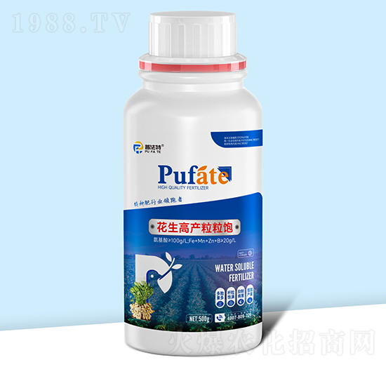 �����߮a�����-�շ���