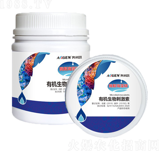 ø�⺣�徫-�W����