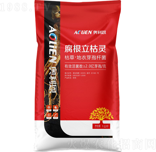 ���������`΢�������-�W����