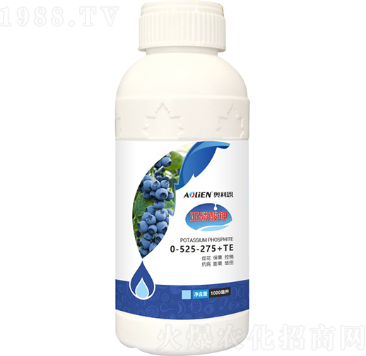 �������-�W����