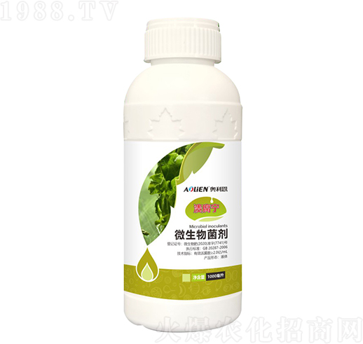 ������΢�������-�W����