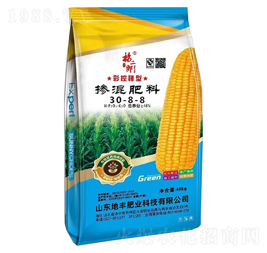 �ʿ���͓������30-8-8-�����-���S�ʘI(y��)