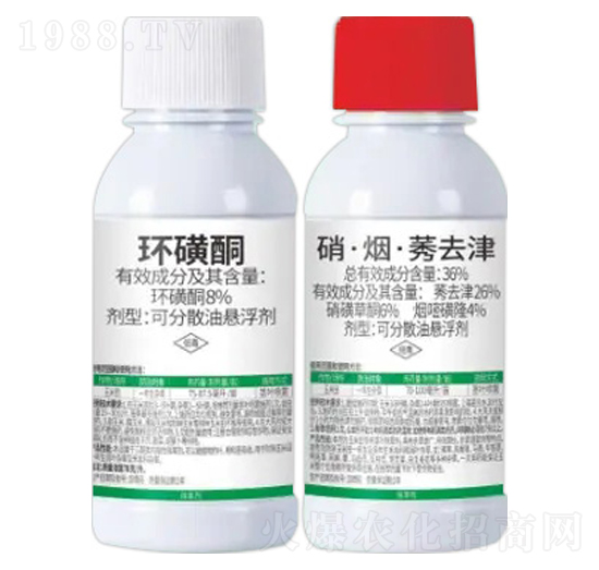 8%�h(hu��n)��ͪ+36%��������ݬȥ��-��e��-�Z�����r(n��ng)�I(y��)