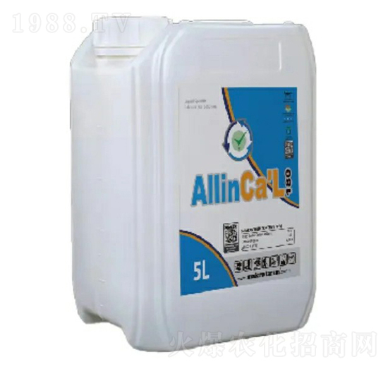 �����_�����z�}-�����_