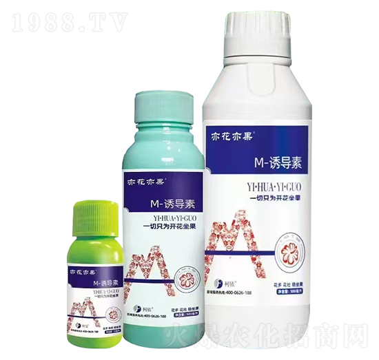 M-誘導(dǎo)素-亦花亦果-柯依之綠