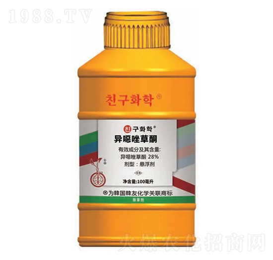 ��������݄������f���ͪ��-�n���-�n�ѻ��W