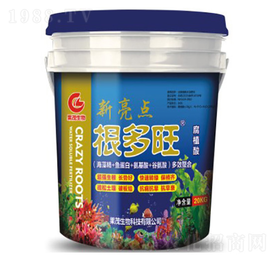 ������-��ï����