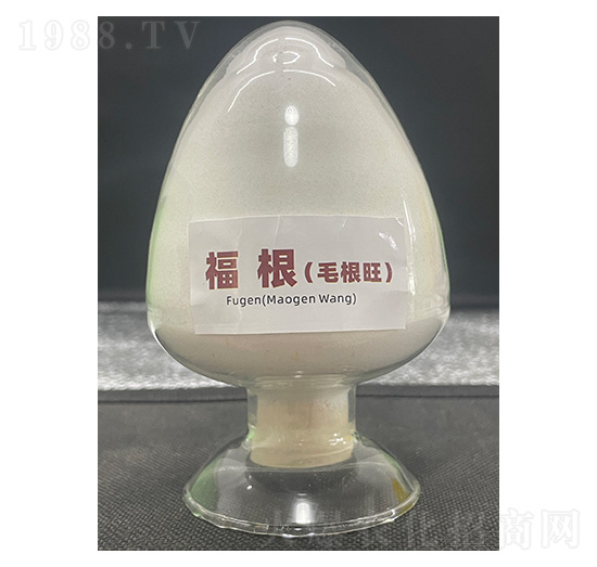 ����(ë����)-��������