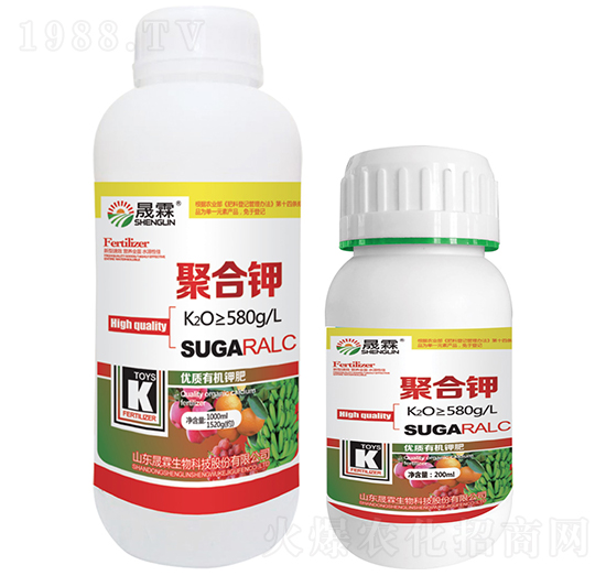 �ۺ��-��������