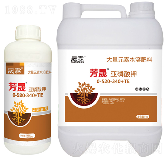 ���ɡ��������-��������