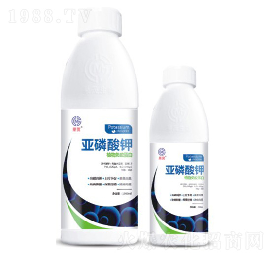 �������-��ï����