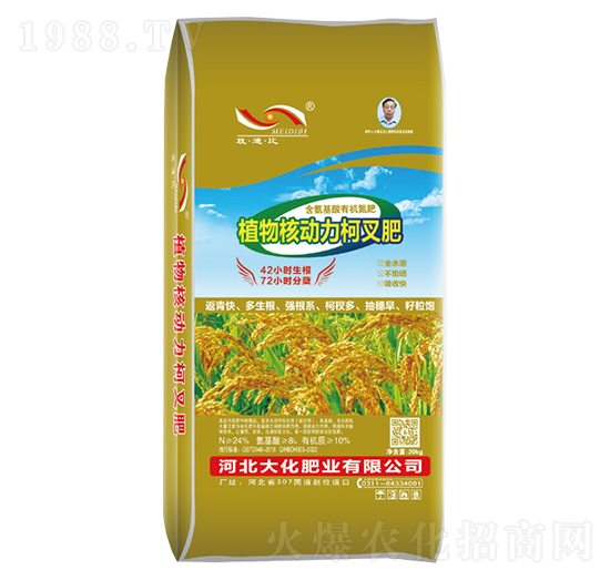 ����ֲ��˄�(d��ng)���²��-�󻯷ʘI(y��)