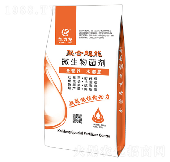 �ۺ˳���΢�������-�P����