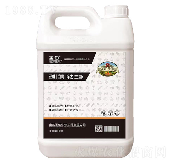 5kg̼�����Ԫ���a-���_�-ʥ������