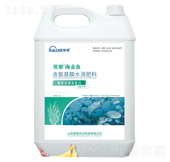 ø�⺣���~����-�����~-�¾�