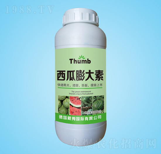 ���������-����r(n��ng)�I(y��)