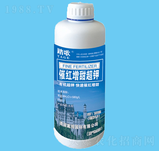 �߼t�����-̤��-����r�I(y��)