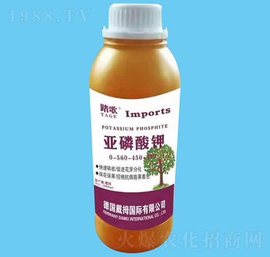 �������-̤��-����r(n��ng)�I(y��)