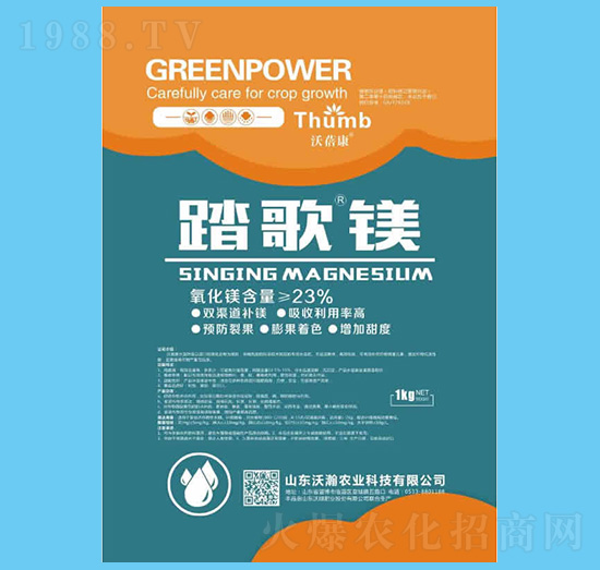 ̤�衤�V-������-����r(n��ng)�I(y��)