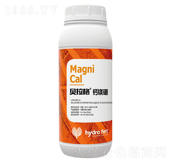 ؐ�����}�V��-�������